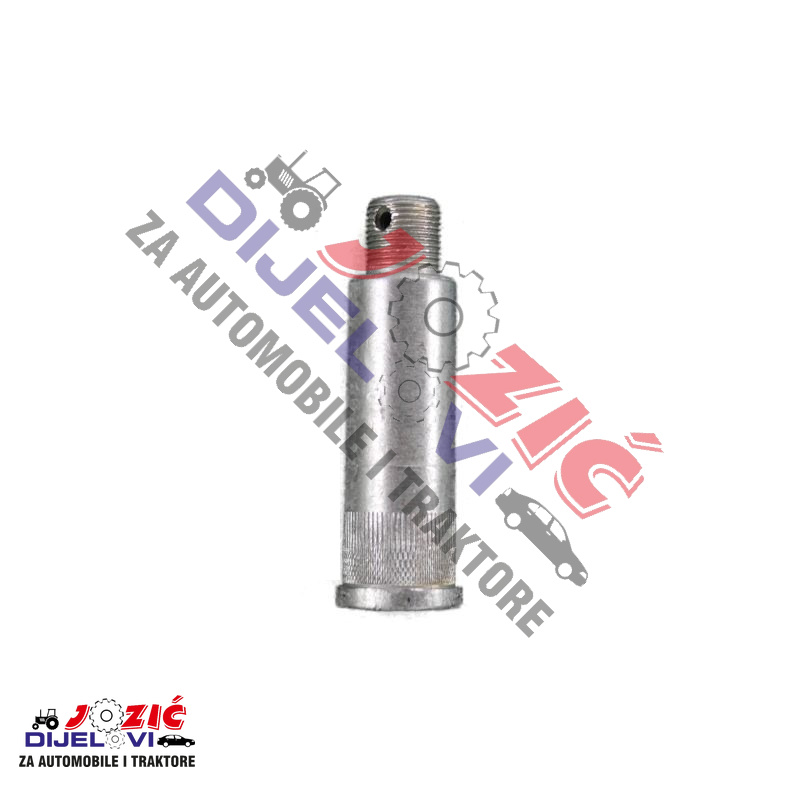 Daisy on the Ohoopee